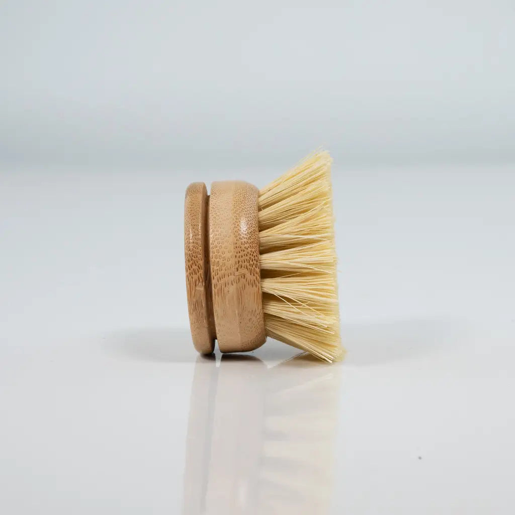Bamboo Dish Brush Replacement Head