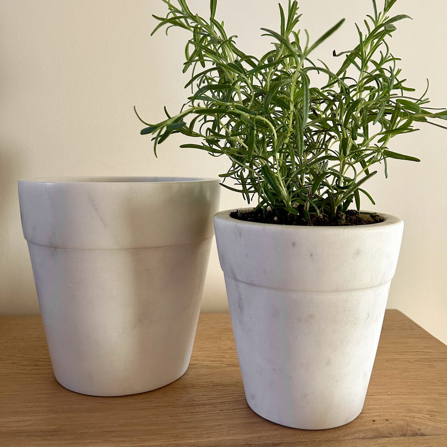 Marble Pot