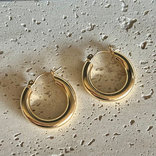 Small Hoop Earrings