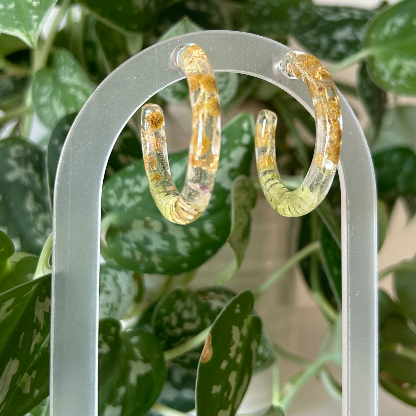 Pressed Botanical Hoops - Large