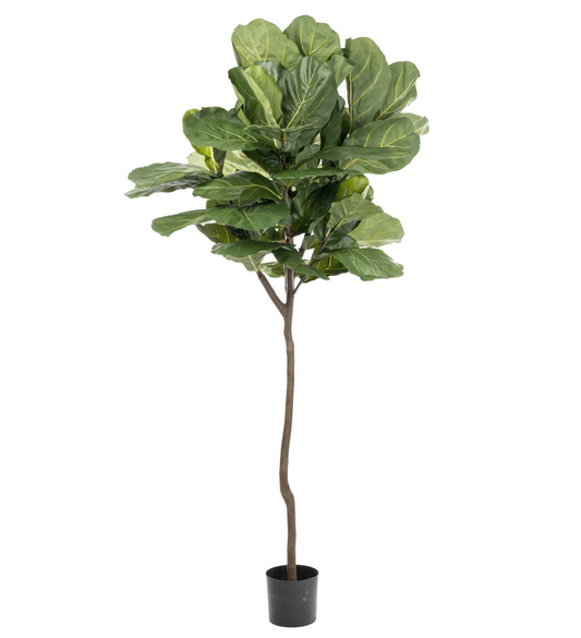 Faux 7.5' Fiddle Leaf Fig Tree